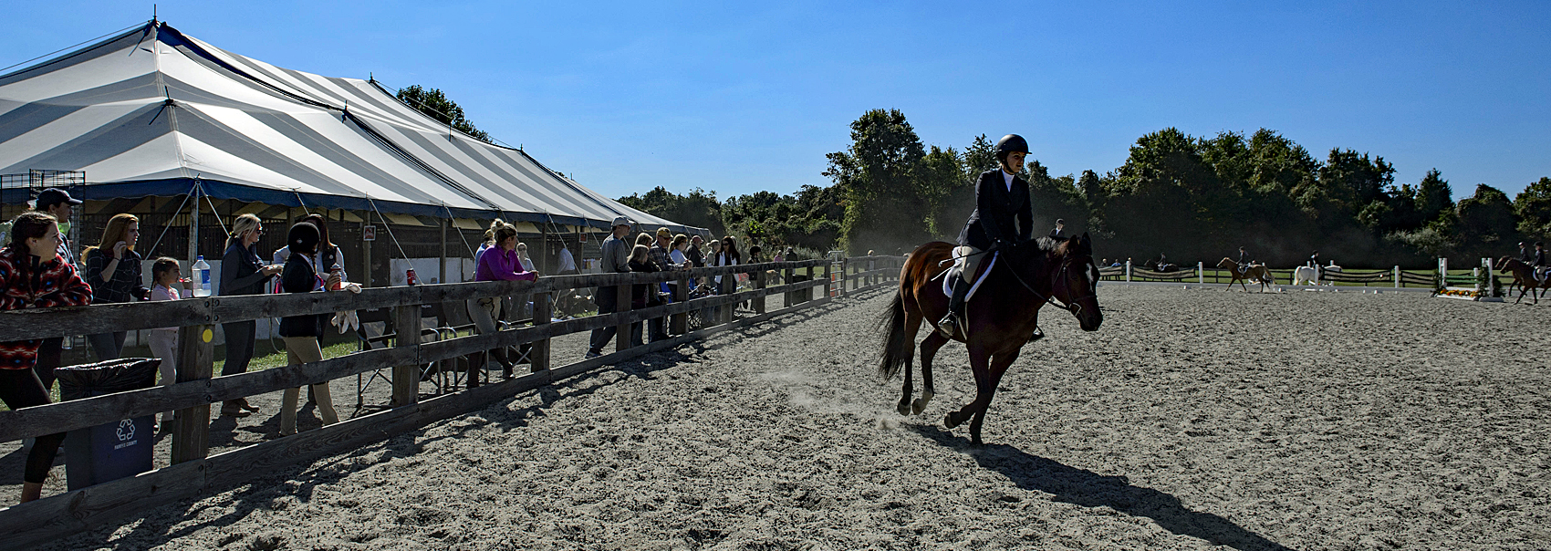 The Turner Farm Equestrian Facilities Park Authority